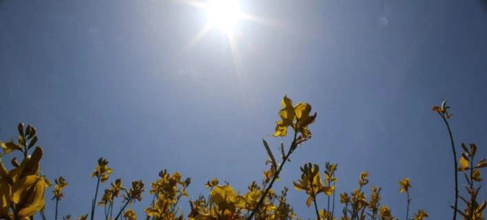 Αυτόν τον καιρό θα κάνει το Πάσχα – Δείτε την πρόβλεψη του Τ.Αρνιακού (βίντεο)